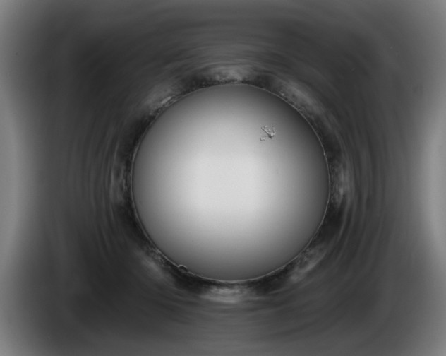 X0000086000414200703300952