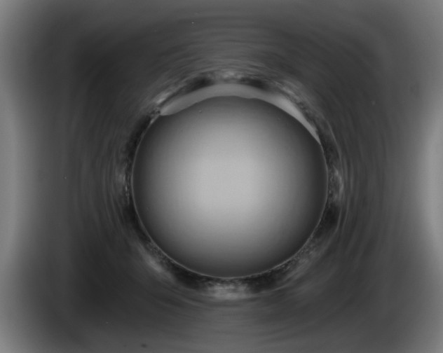 X0000086000415200703300952