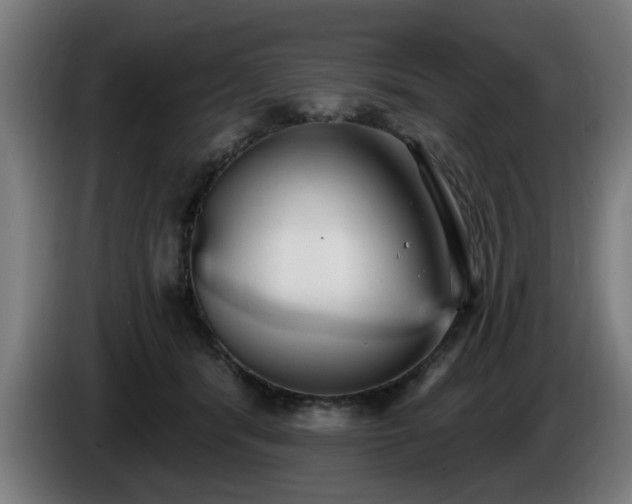 X0000086000416200703300952