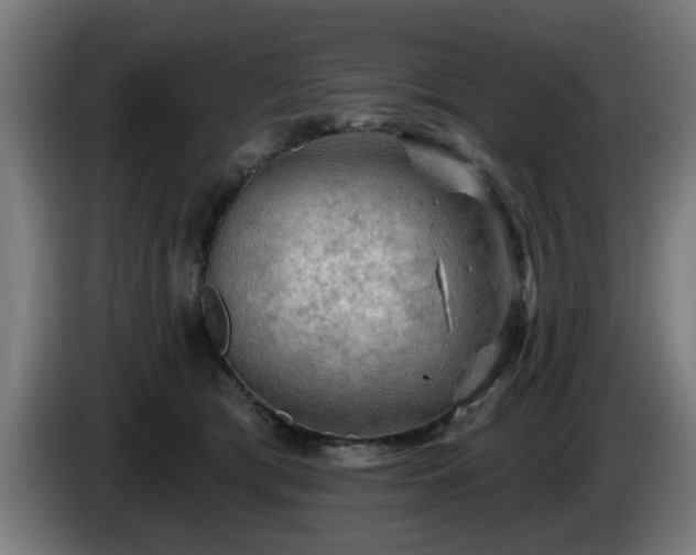 X0000086000417200703300952