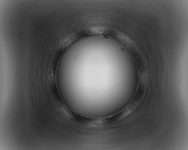 X0000086000418200703300952