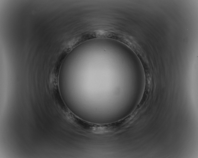 X0000086000419200703300952