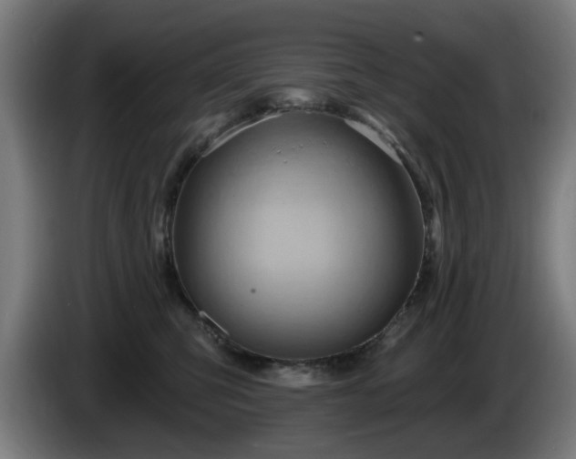 X0000086000423200703300952