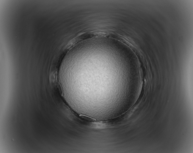 X0000086000425200703300952