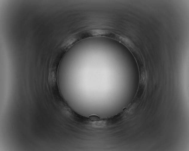 X0000086000426200703300952