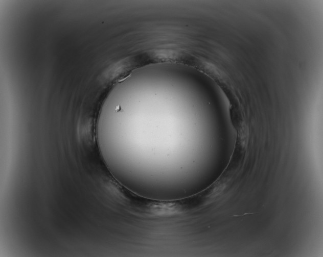 X0000086000428200703300952