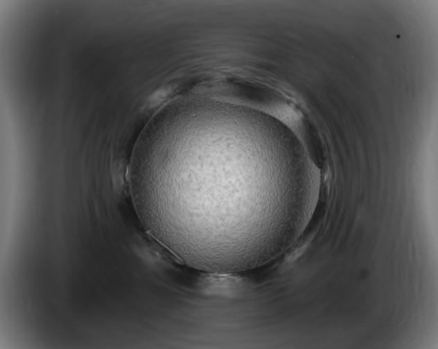 X0000086000429200703300952