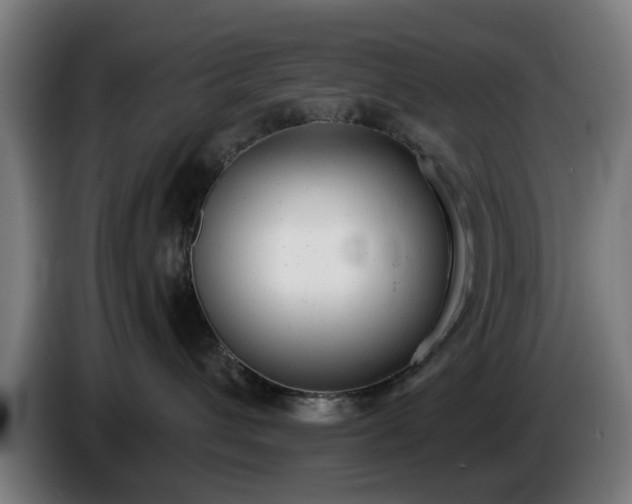 X0000086000432200703300952