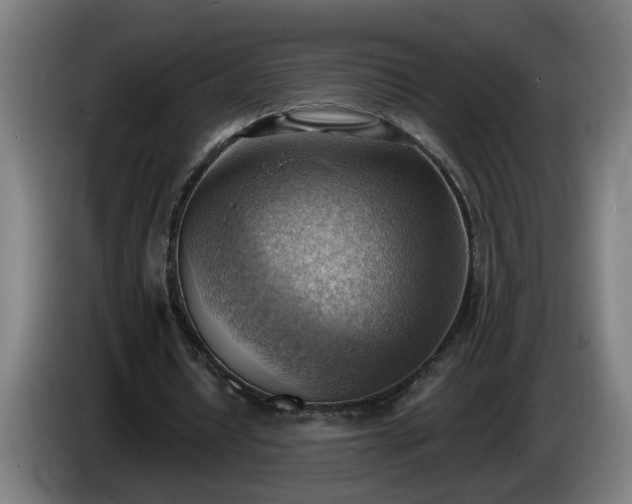 X0000086000434200703300951