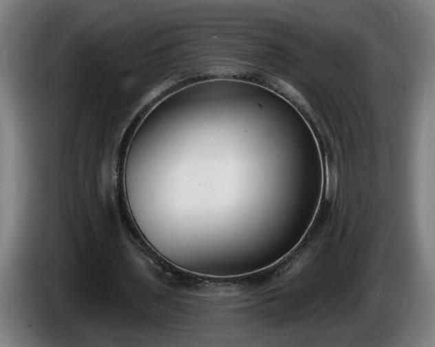 X0000086000435200703300951