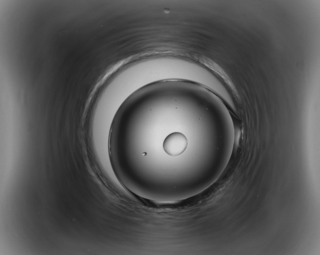 X0000086000436200703300951