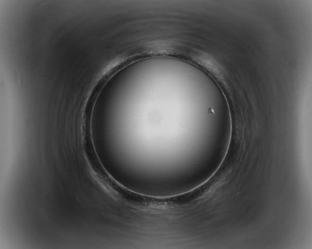 X0000086000439200703300951