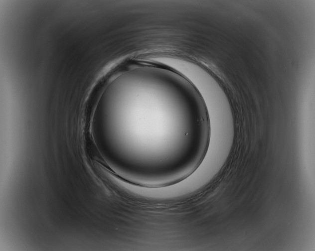 X0000086000440200703300951