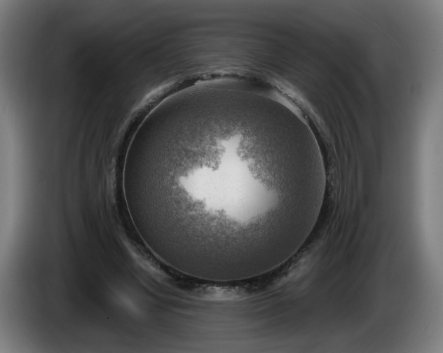 X0000086000442200703300951