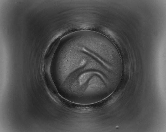 X0000086000443200703300951