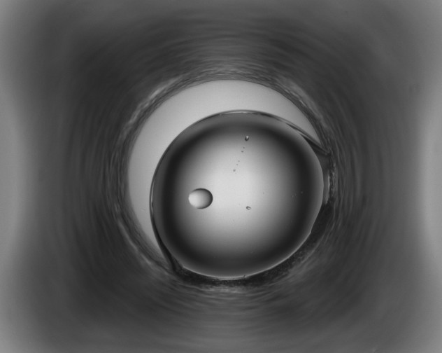 X0000086000444200703300951