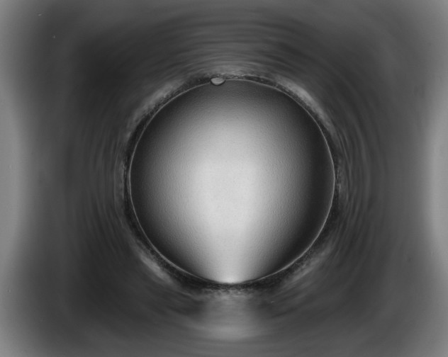 X0000086000445200703300951