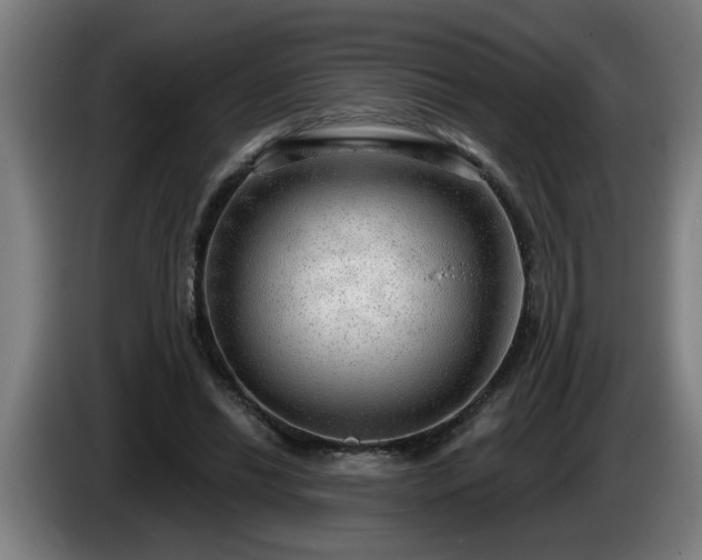 X0000086000446200703300951