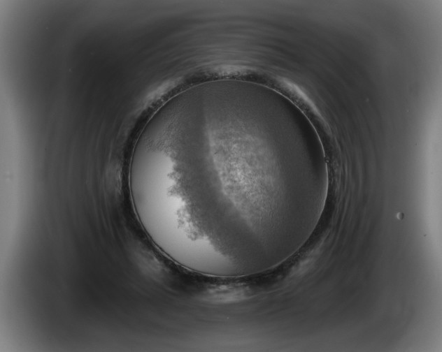 X0000086000447200703300951