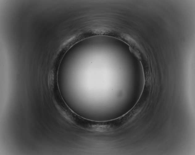 X0000086000448200703300951