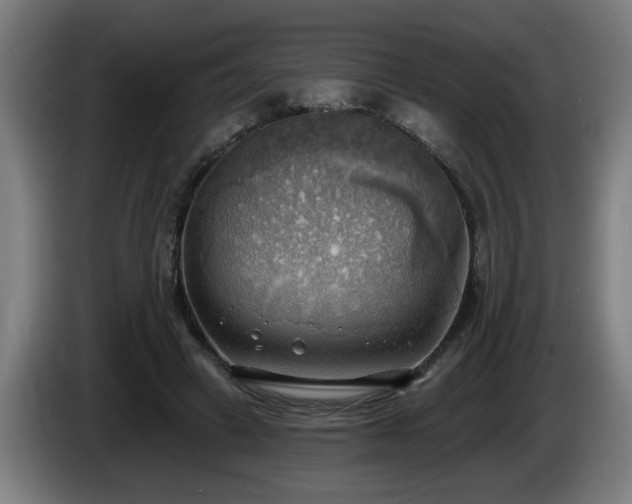 X0000086000449200703300951