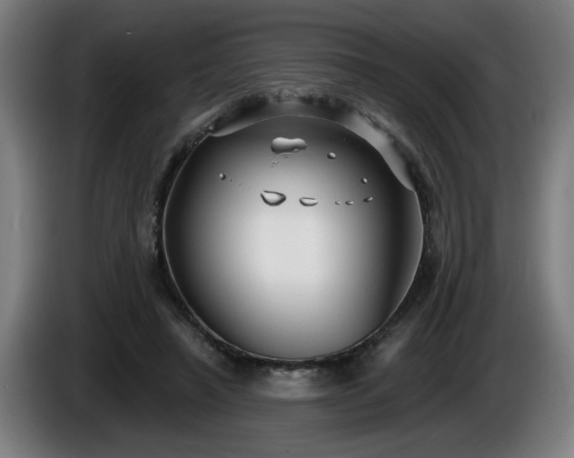 X0000086000450200703300951