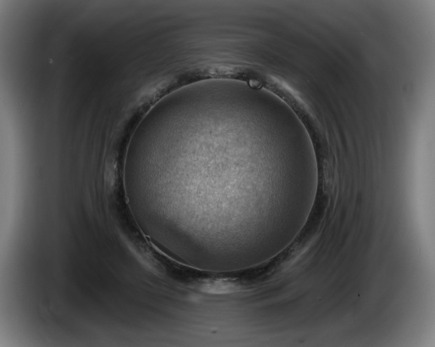 X0000086000451200703300951