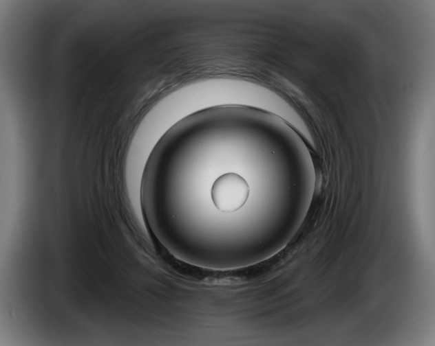 X0000086000452200703300951