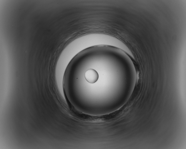 X0000086000456200703300951