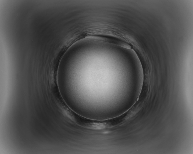 X0000086000457200703300951