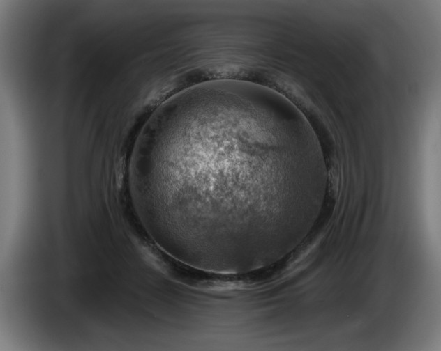 X0000086000458200703300951