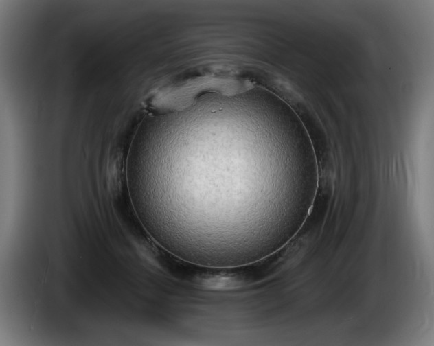 X0000086000460200703300951