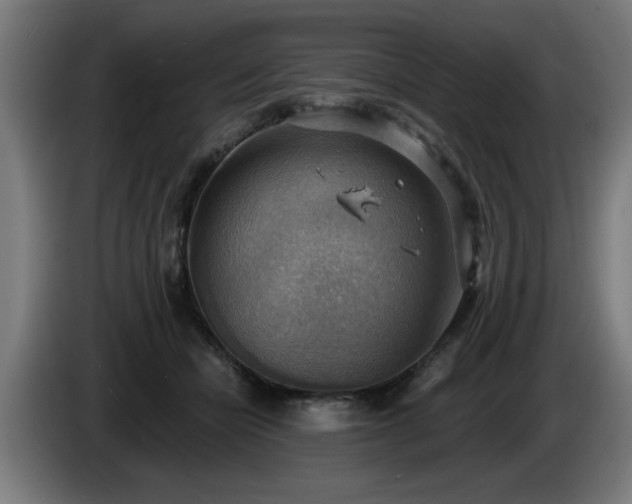 X0000086000462200703300951