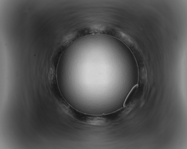 X0000086000463200703300951