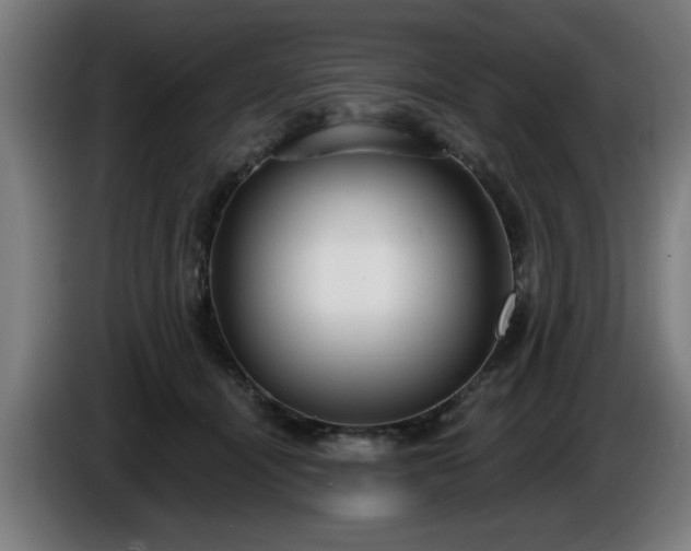 X0000086000464200703300951