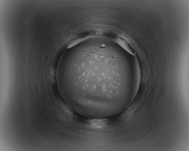 X0000086000465200703300951