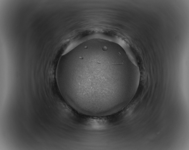 X0000086000466200703300951