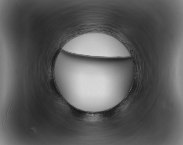 X0000086000469200703300952