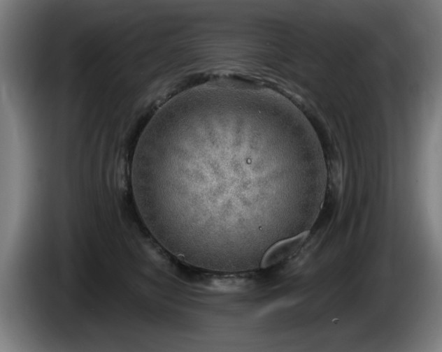 X0000086000470200703300952