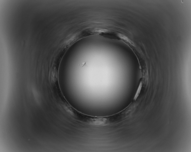 X0000086000474200703300952