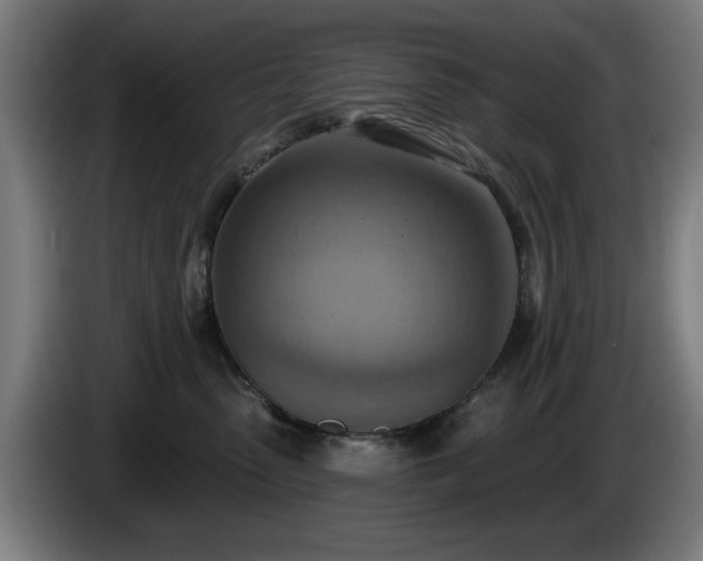 X0000086000475200703300952