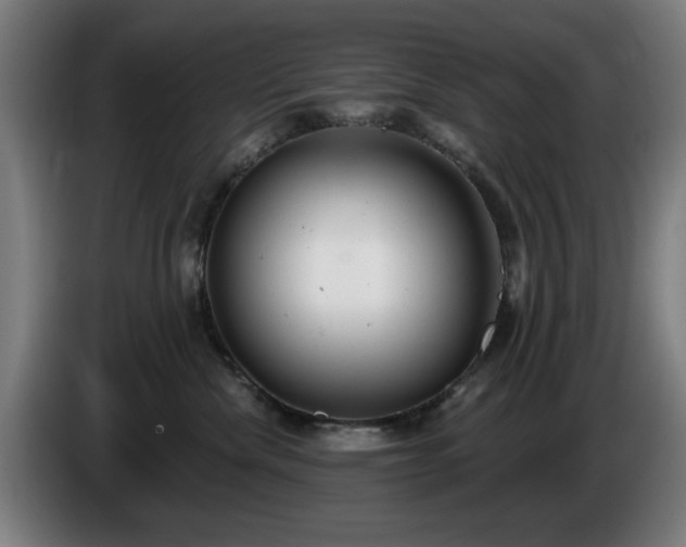 X0000086000476200703300952