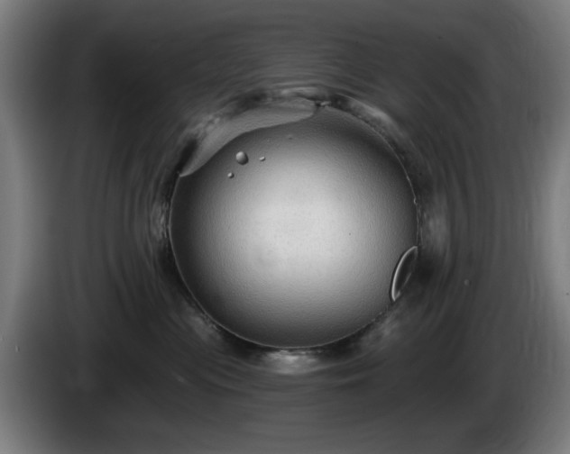 X0000086000477200703300952