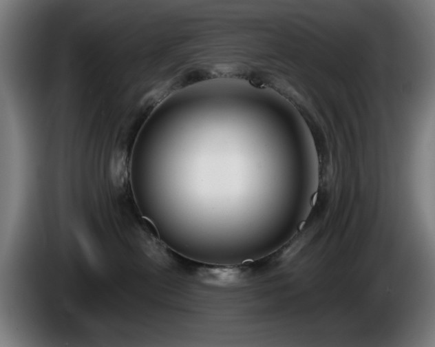 X0000086000478200703300952