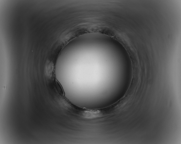 X0000086000480200703300952