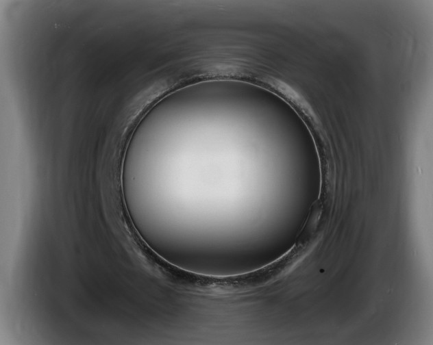 X0000086000481200703300951