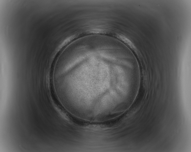 X0000086000482200703300951