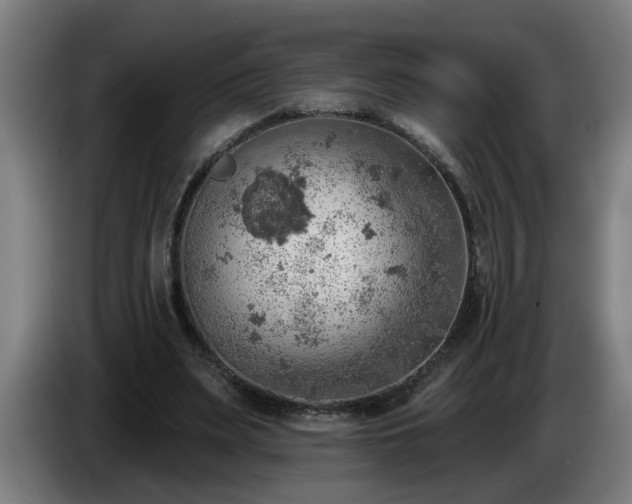 X0000086000487200703300951