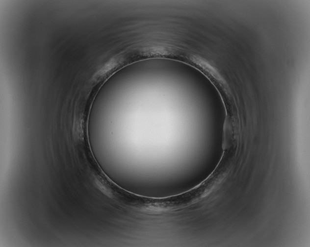 X0000086000489200703300951