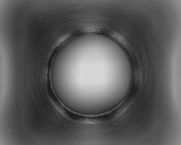 X0000086000490200703300951